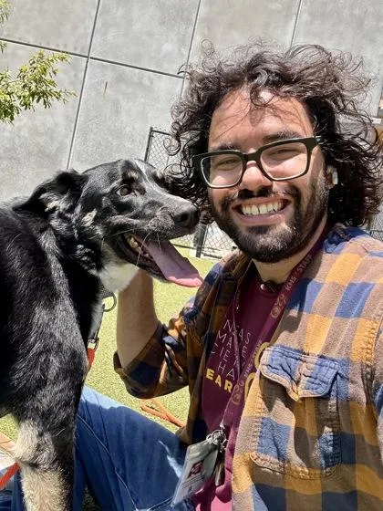 An adult large-sized male Black Mixed Breed dog named Rosko for adoption in Wichita, KS