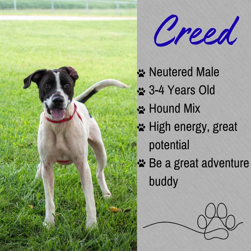 Creed