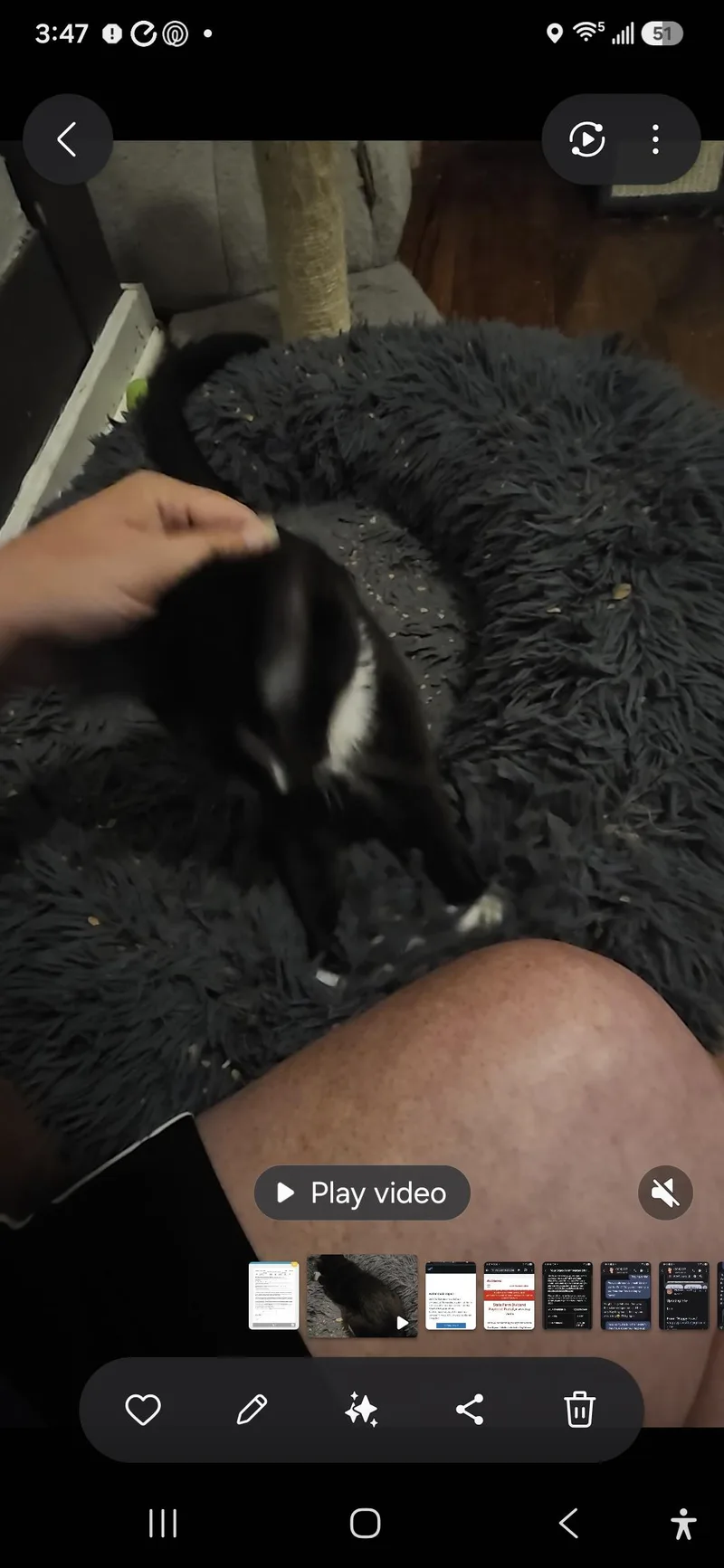 Spice thumbnail 4
