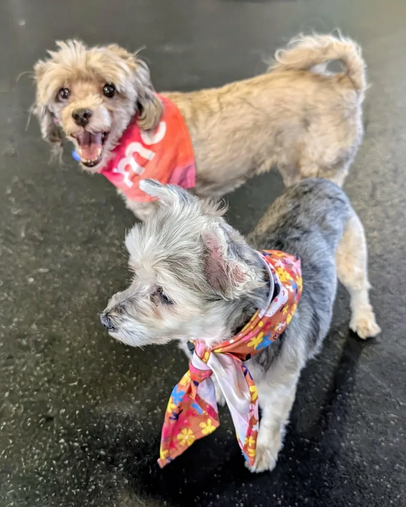 Sunny & Celeste thumbnail 5