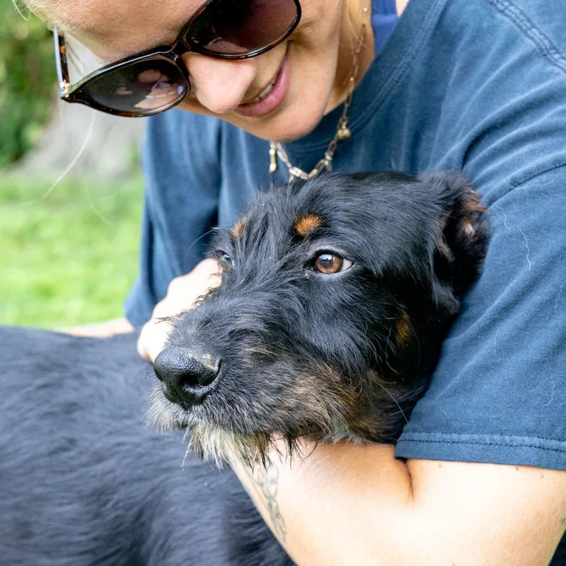 CometAvail thumbnail 3