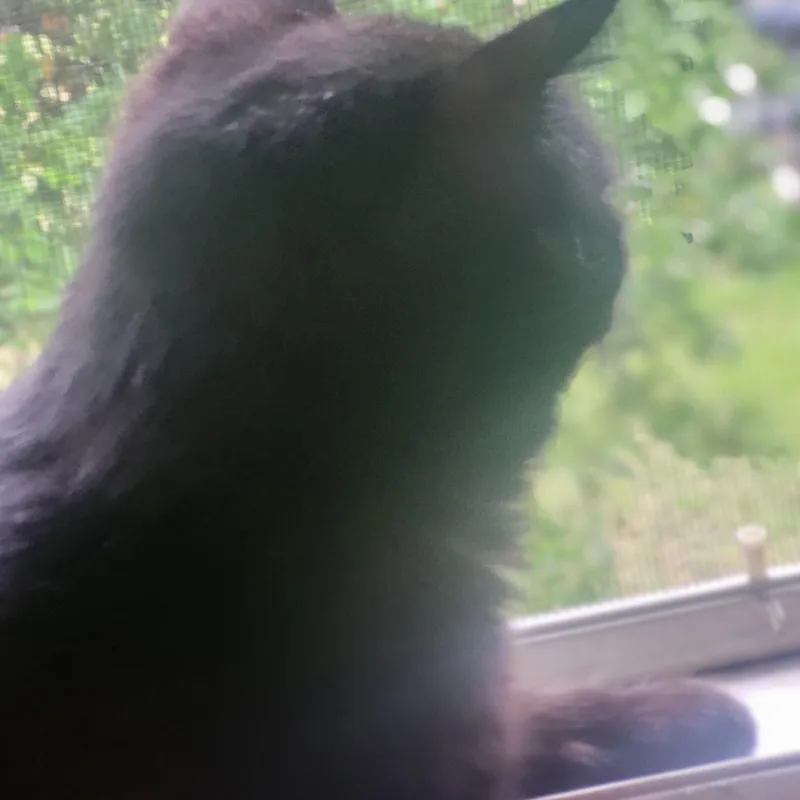 Murray thumbnail 2