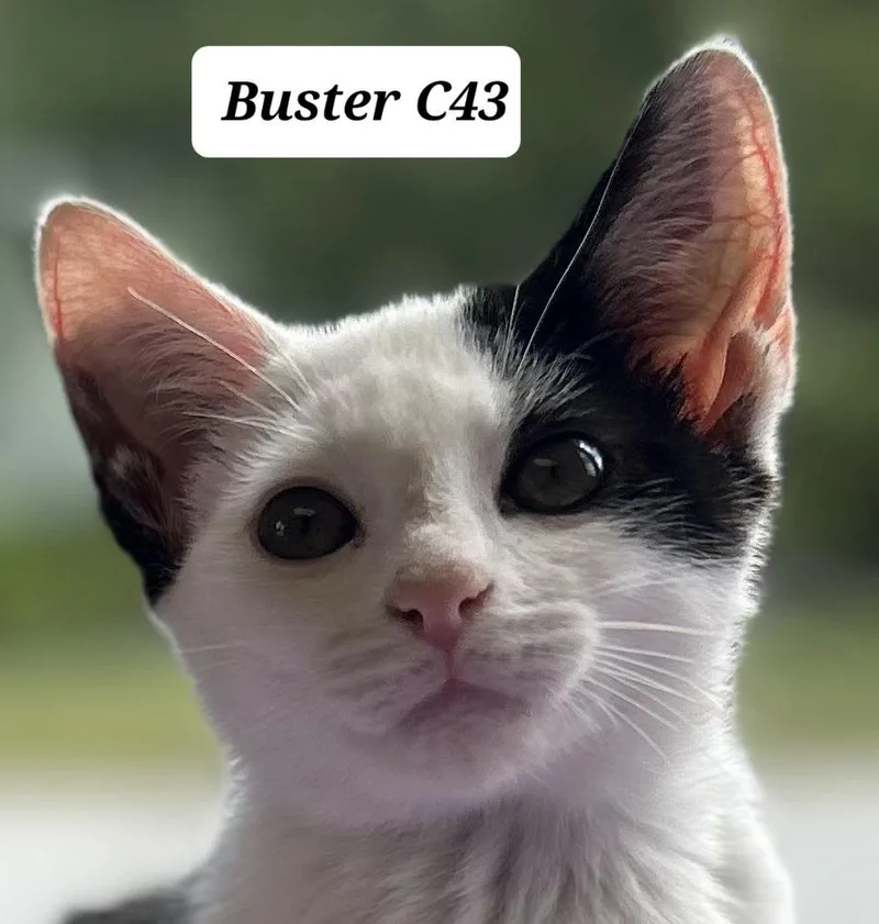 Buster