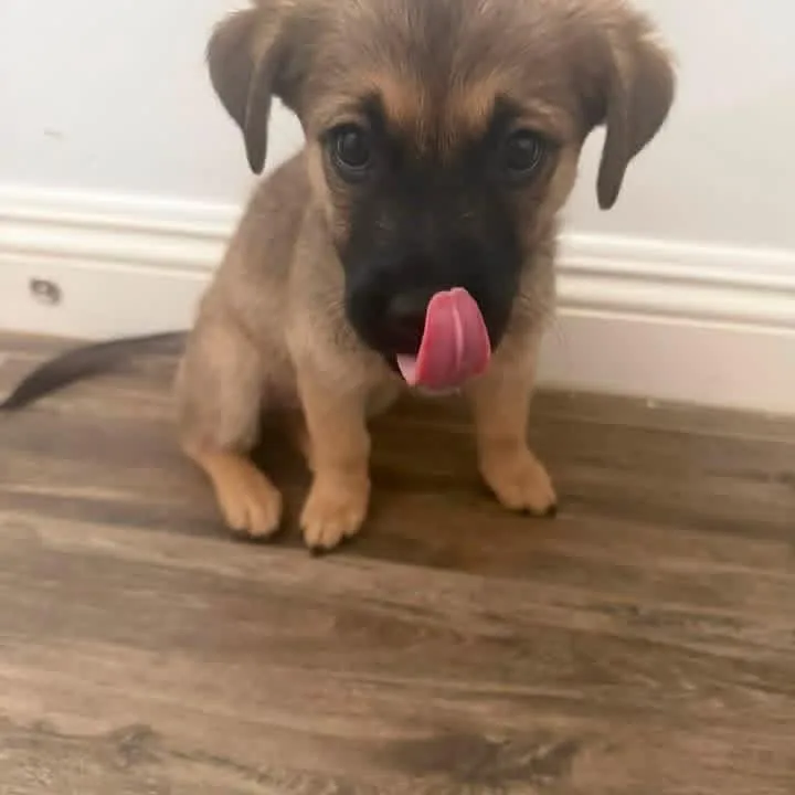 Ruby