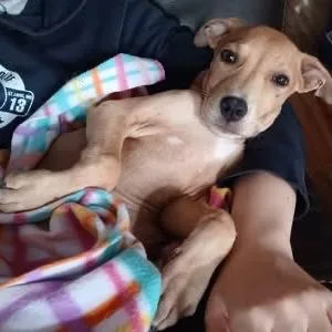 Biscuit Baby thumbnail 5