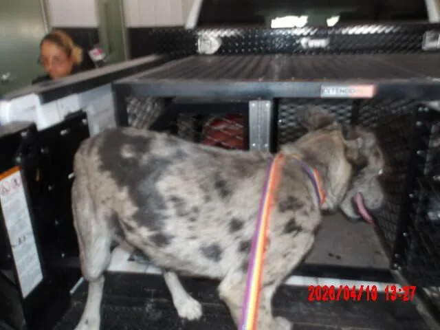 Samantha thumbnail 5