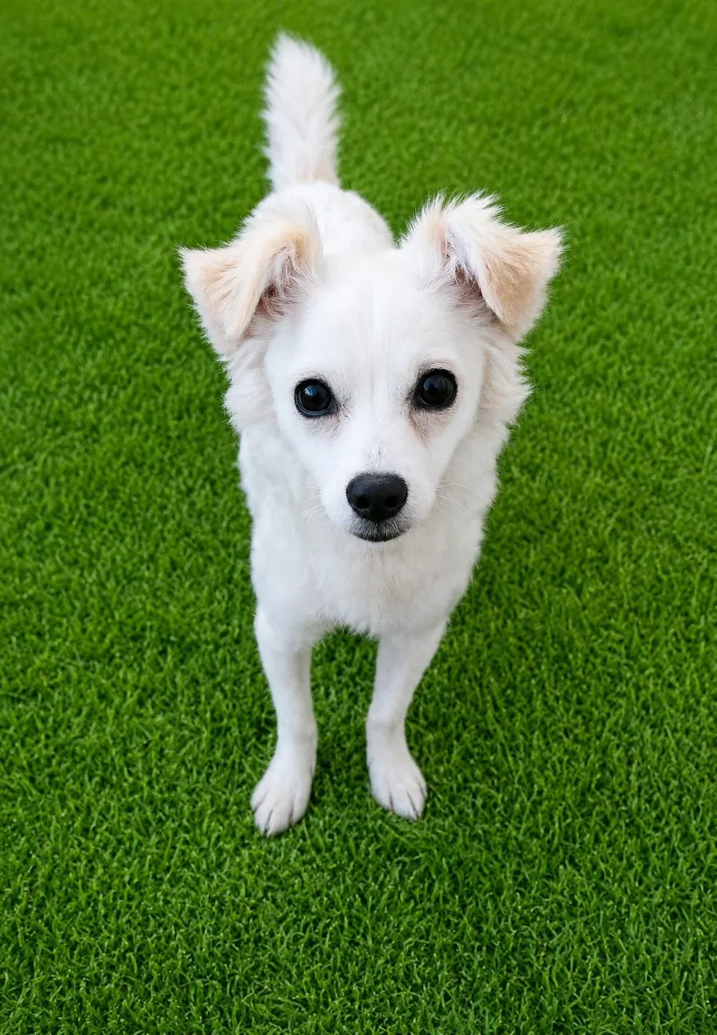 Sophie thumbnail 3