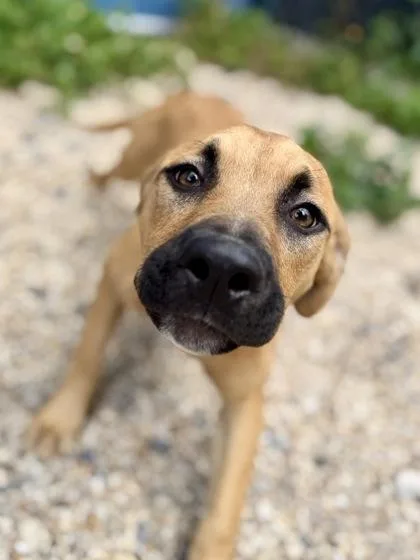 Mia