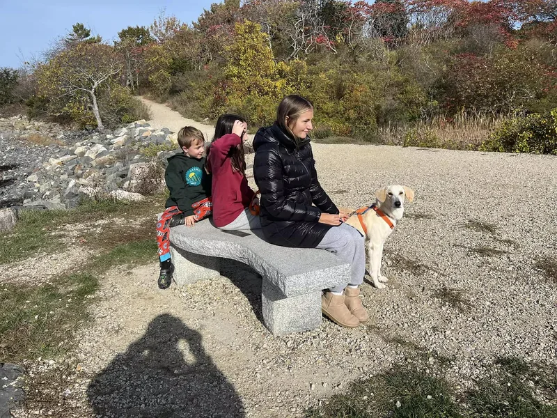 Falkor  In Maine thumbnail 3