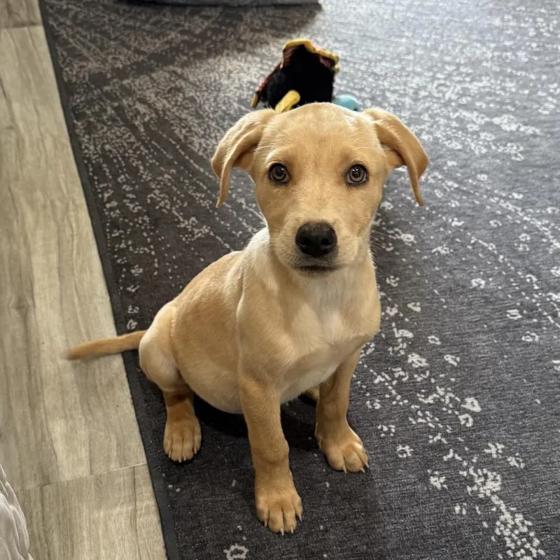 Molly Aka Millie thumbnail 3