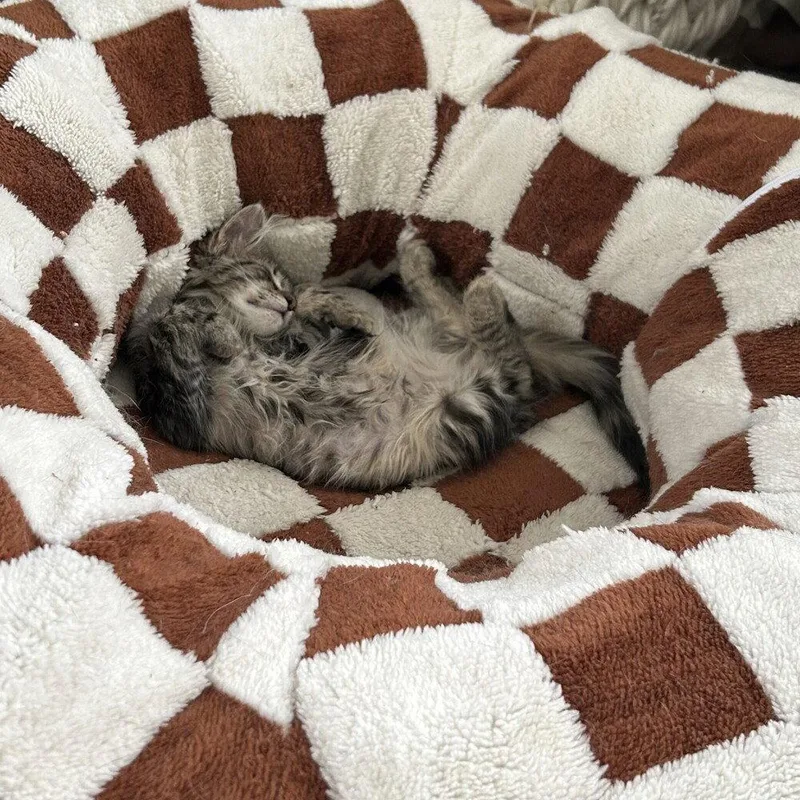 Kashtan thumbnail 2