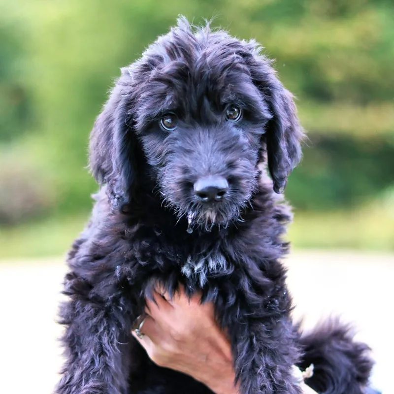 CT Butkus avail Sep thumbnail 3
