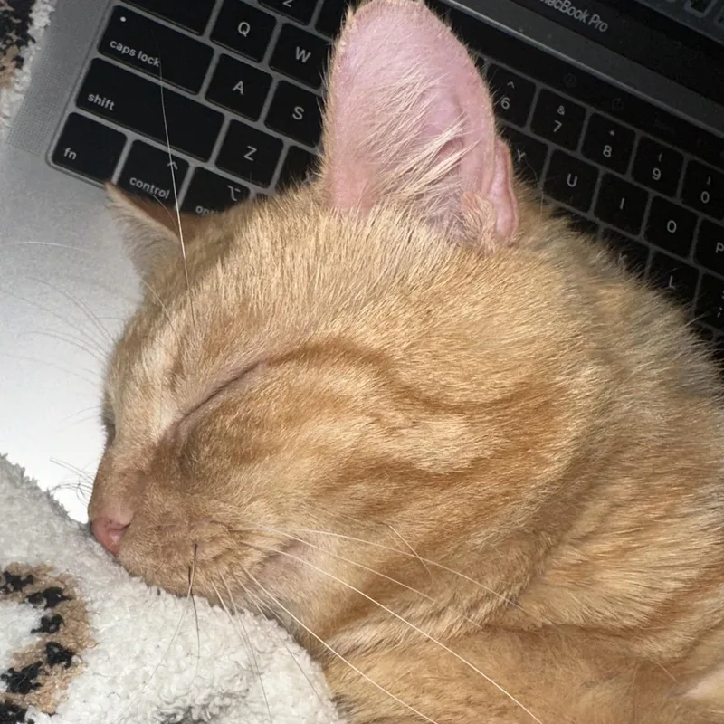 Casanova Park thumbnail 3