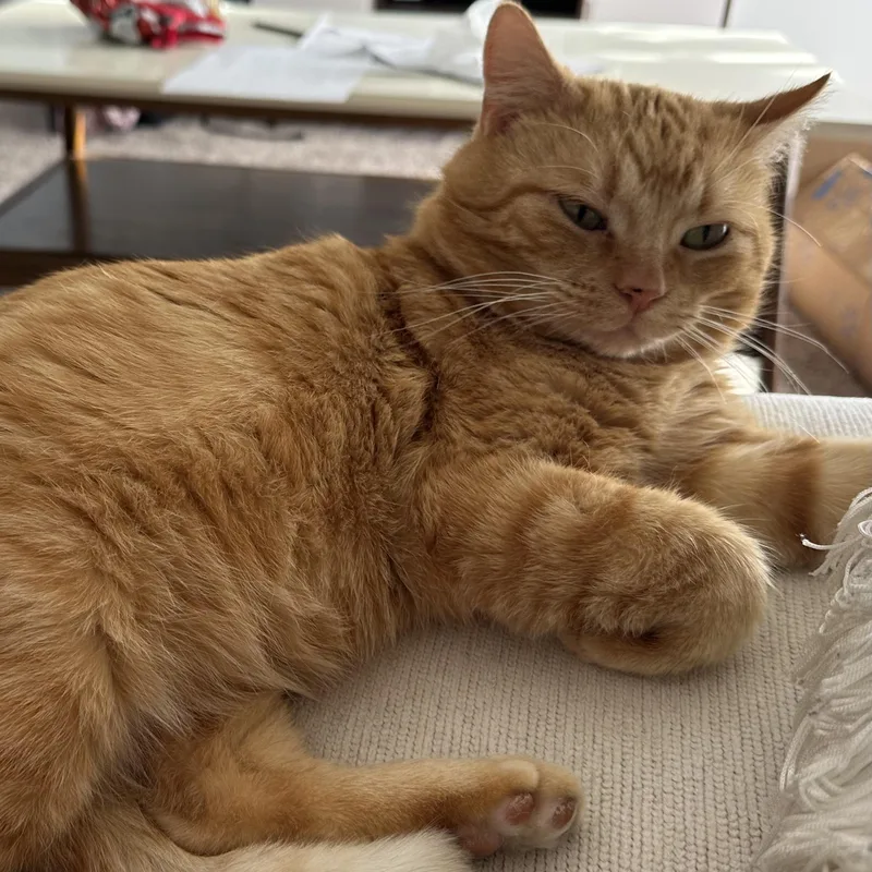 Casanova Park thumbnail 4