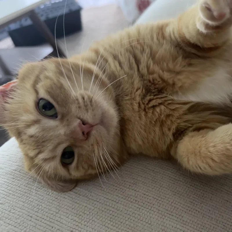 Casanova Park thumbnail 5