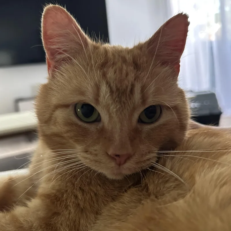 Casanova Park thumbnail 6