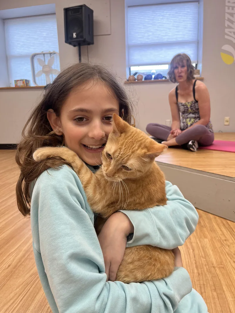 Garfield thumbnail 2