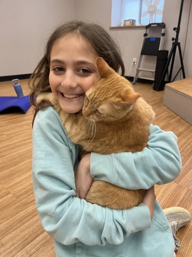 Garfield thumbnail 6