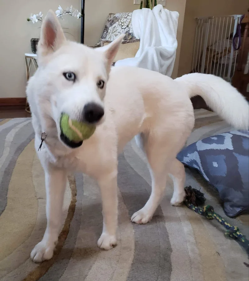 Sasha thumbnail 2