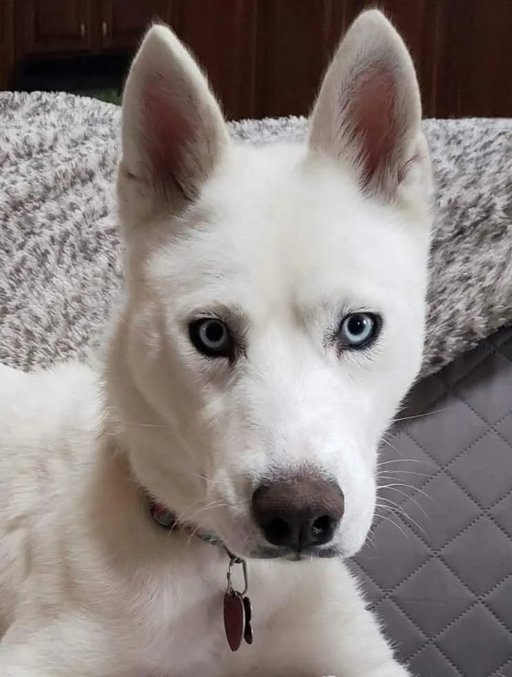 Sasha thumbnail 4
