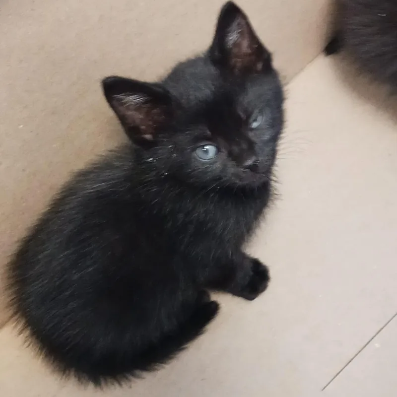 Smalls