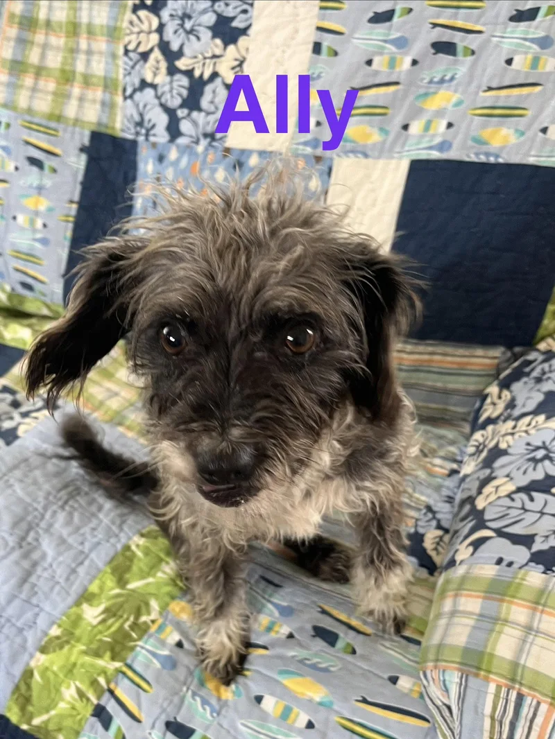Aly thumbnail 2
