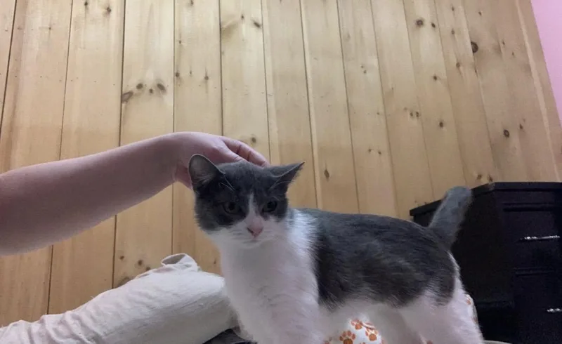 Rosie thumbnail 4