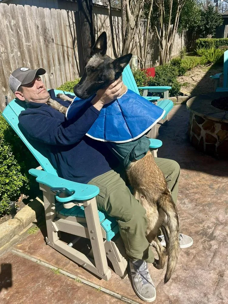 Beau  Located In thumbnail 4