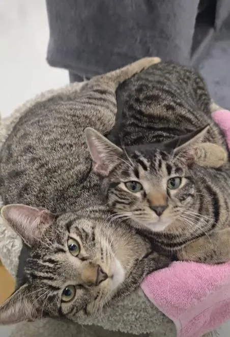 Oliver & Scooter thumbnail 2