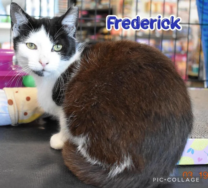 Frederick thumbnail 6