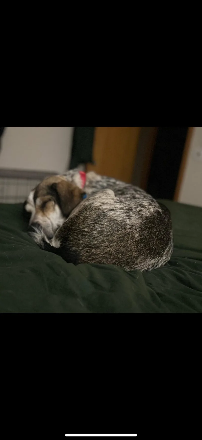 Mervin thumbnail 4