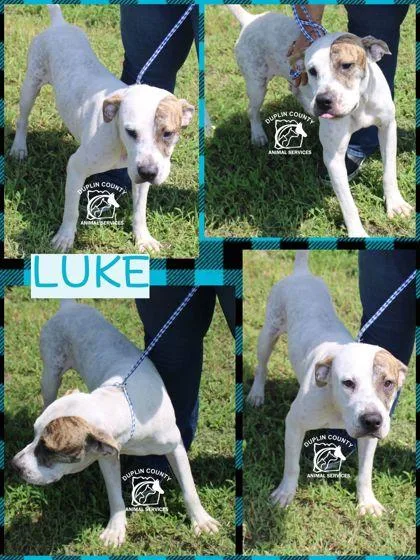 Luke thumbnail 2