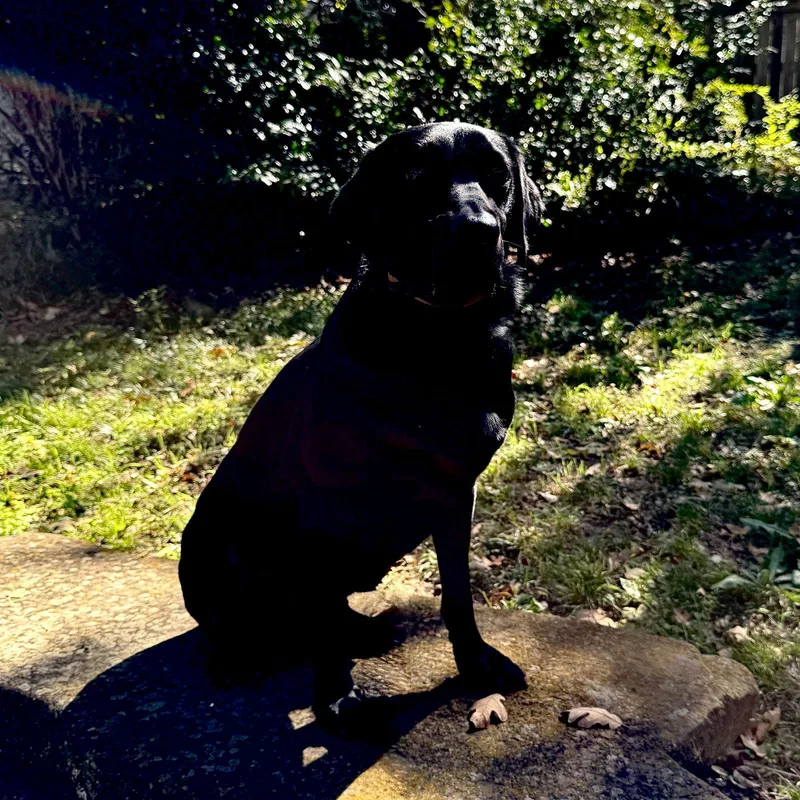 Charlette thumbnail 2