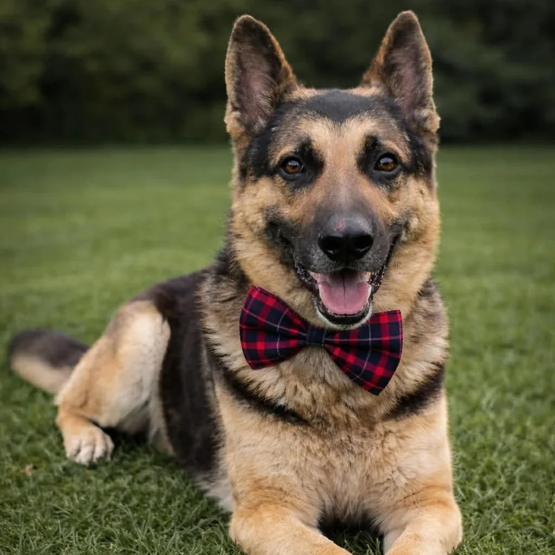 Grant Gs thumbnail 2