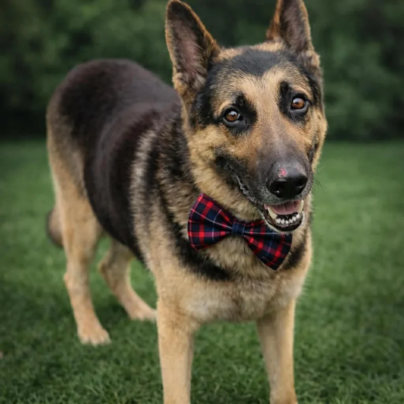 Grant Gs thumbnail 3