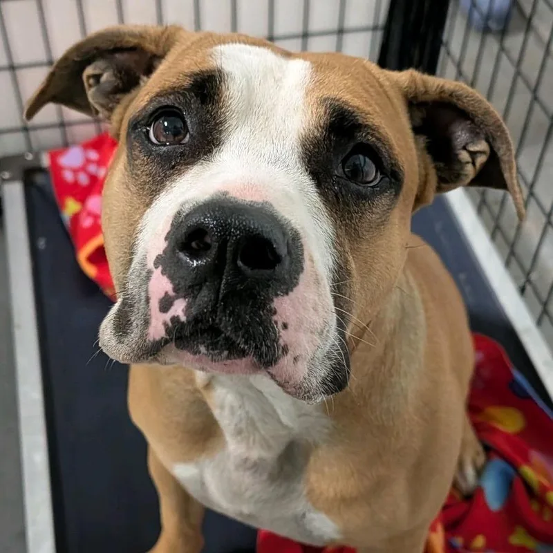 Gourdeous thumbnail 2