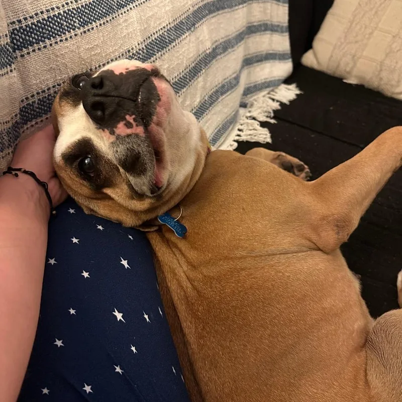 Gourdeous thumbnail 3