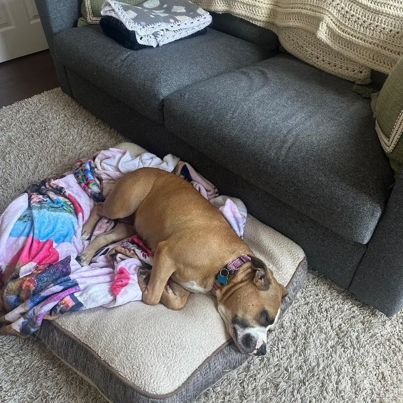 Gourdeous thumbnail 4