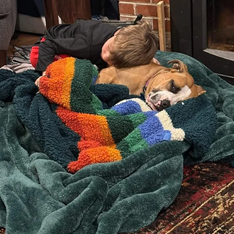 Gourdeous thumbnail 5