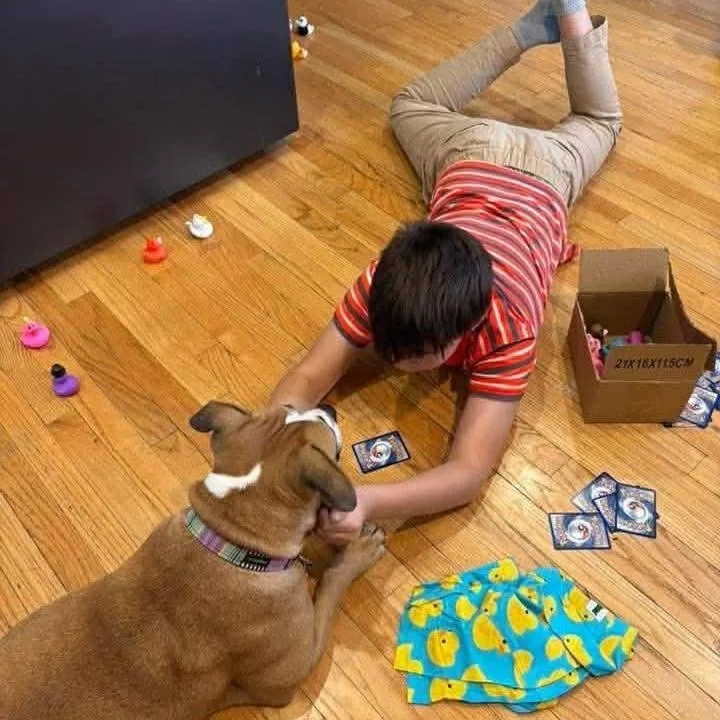 Gourdeous thumbnail 6