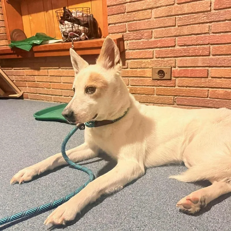 Annabelle thumbnail 3