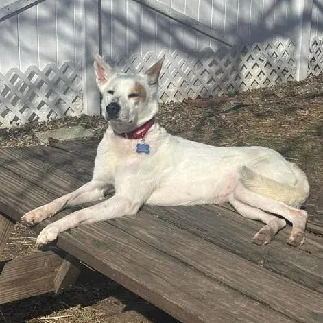 Annabelle thumbnail 6