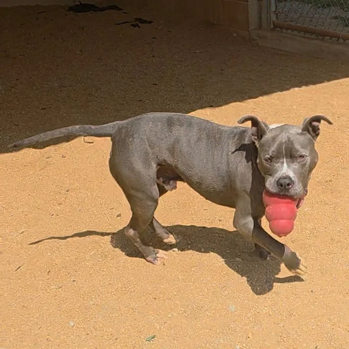 Otis thumbnail 2
