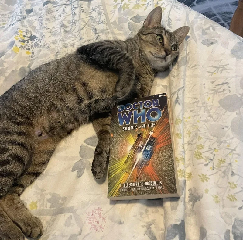 Tilly Adventurousaristocat thumbnail 2