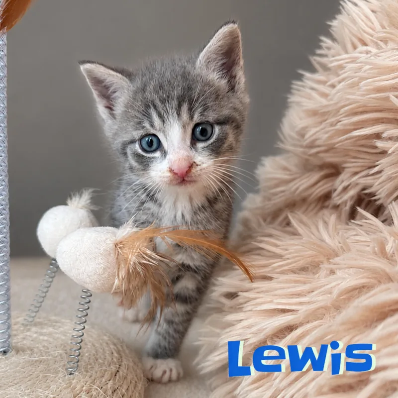 Lewis & Clark thumbnail 6