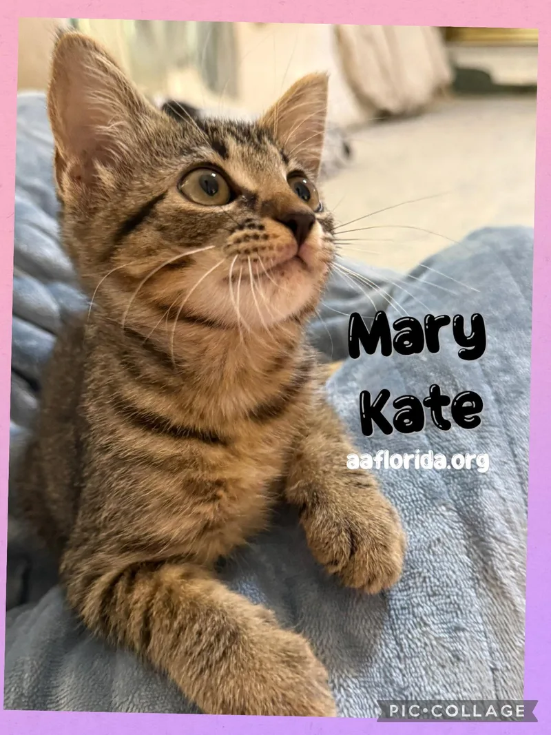 Mary Kate thumbnail 2