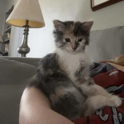 Lucy thumbnail 2