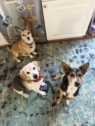 Macho_la thumbnail 2