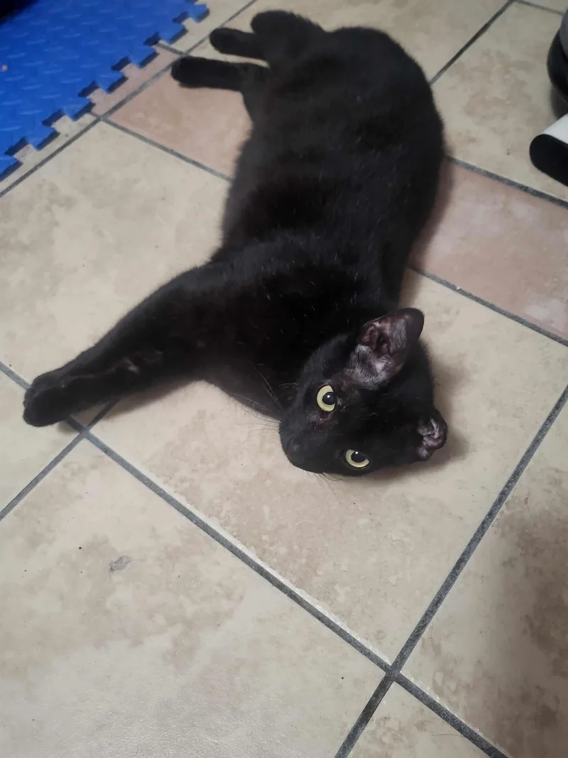 Zeus & Sparta thumbnail 2