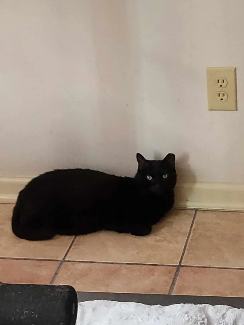 Zeus & Sparta thumbnail 3